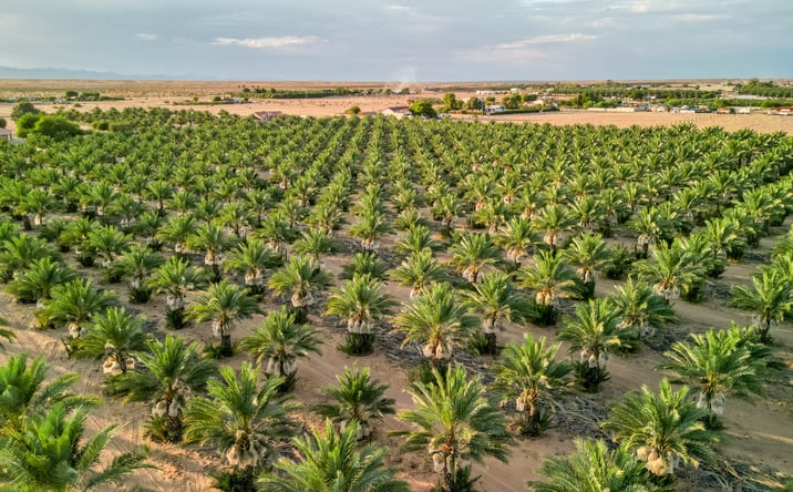 Pictures of Land property located at 17587 S AVE 3 1/2 E, Yuma, AZ 85365 for sales - image #1