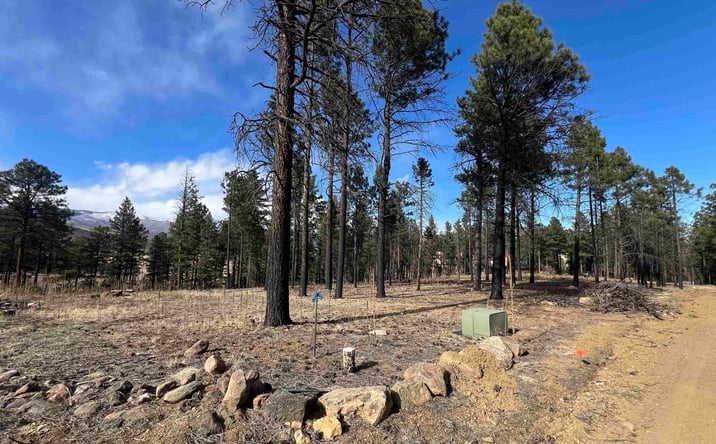 Pictures of Land property located at 163 Goleta Court, Rociada, NM 87742 for sales - image #1