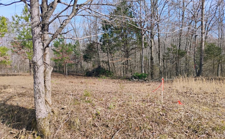 Pictures of Land property located at 00 Stan Lane, Cedar Grove, TN 38321 for sales - image #1