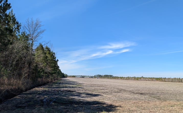 Pictures of Land property located at 522 Plum Nearly Lane, Trenton, NC 28585 for sales - image #1