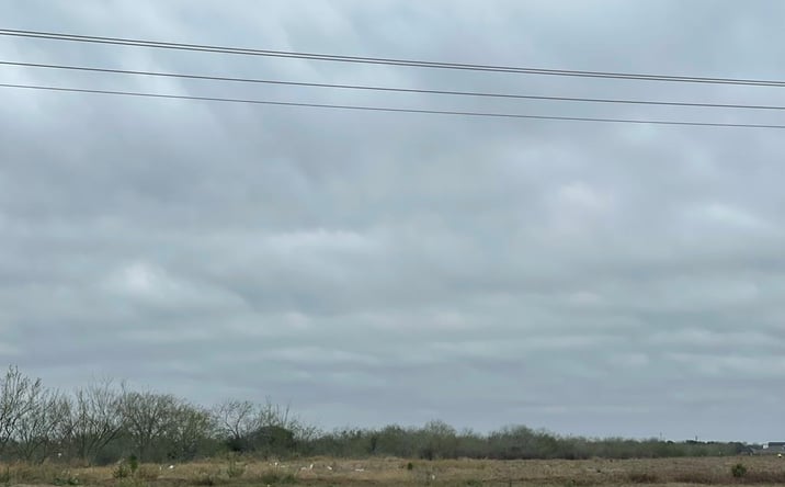 Pictures of Land property located at 0 E Ruben M Torres Blvd., Brownsville, TX 78521 for sales - image #1