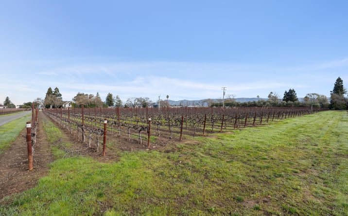 Pictures of Land property located at 1076 Orchard Ave, Napa, CA 94558 for sales - image #1