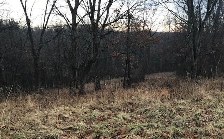 Pictures of Land property located at 277 Merri-Wood Drive NE, Newark, OH 43055 for sales - image #1