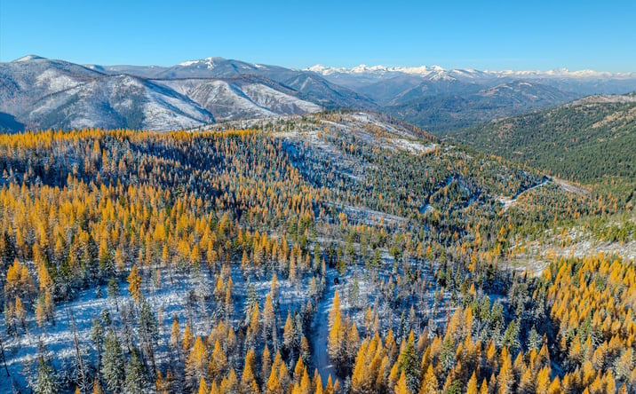 Pictures of Land property located at Nhn McGinnis Meadows - Bayhorse Road Section 7, Libby, MT 59923 for sales - image #1