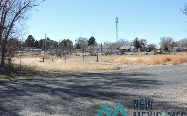 Pictures of Land property located at 88 Santa Fe Drive, Clayton, NM 88415-0000 for sales - image #1
