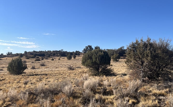 Pictures of Land property located at 14500 N Puntenney Rd  Lot 68A, Prescott, AZ 86305 for sales - image #1