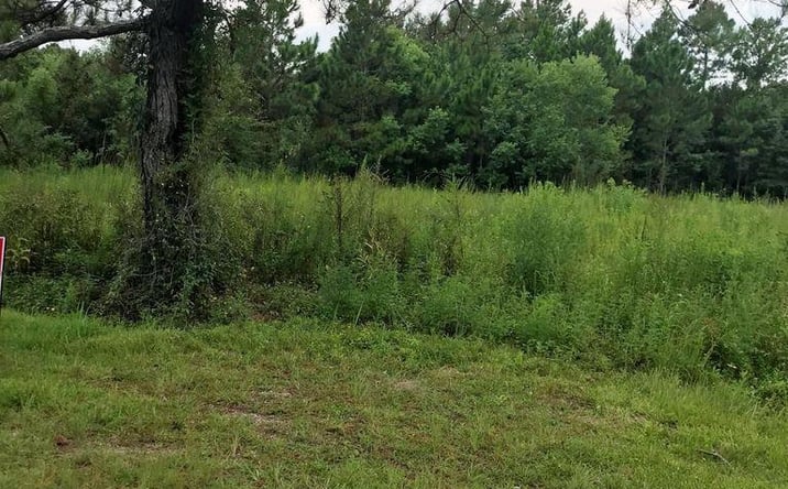 Pictures of Land property located at 357 Rosehart, Pass Christian, MS 39571 for sales - image #1