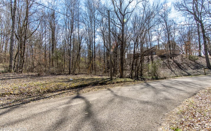 Pictures of Land property located at 000 Salt Lane, Savannah, TN 38372 for sales - image #1