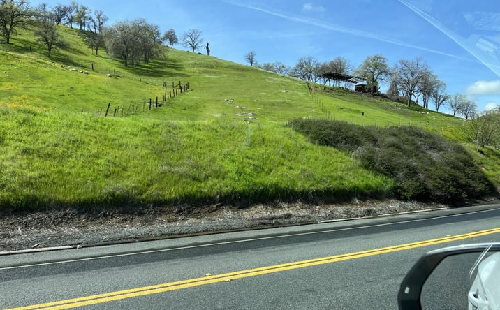 Pictures of Land property located at Ca 190, Springville, CA 93265 for sales - image #1