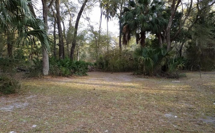 Pictures of Land property located at LOT 12 NW 70th Cir, Chiefland, FL 32626 for sales - image #1