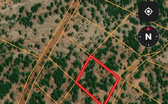 Pictures of Land property located at Lot 24G Mcgaffey Pines, Mcgaffey, NM 87316 for sales - image #1