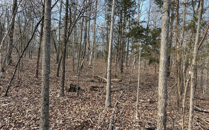 Pictures of Land property located at 2371 - B, Thayer, MO 65791 for sales - image #1