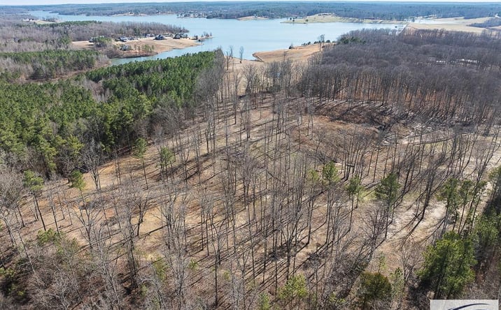 Pictures of Land property located at Hwy 70, Huntingdon, TN 38344 for sales - image #1