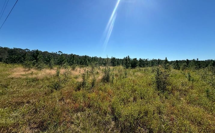 Pictures of Land property located at 00 SW 50th Ave, Bell, FL 32619 for sales - image #1