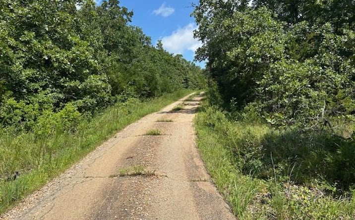 Pictures of Land property located at 1 Private Rd. 9516, Fredericktown, MO 63645 for sales - image #1