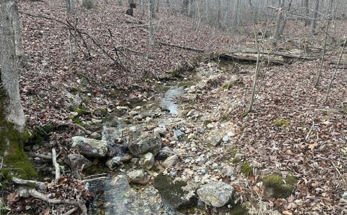 Pictures of Land property located at 0 Private Rd. 9516, Fredericktown, MO 63645 for sales - image #1