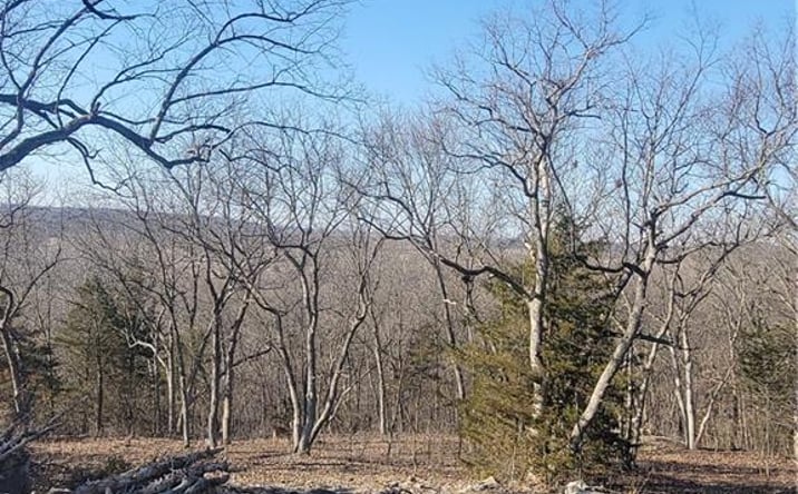 Pictures of Land, Special Purpose property located at 33 E Ridgewood Circle, Linn Valley, KS 66040 for sales - image #1