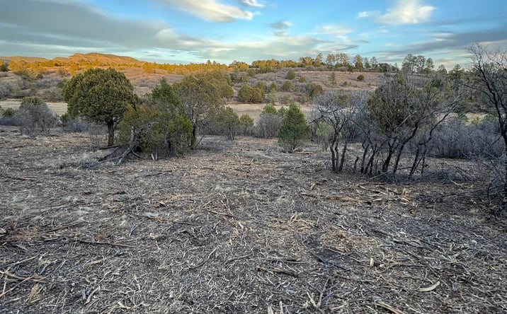 Pictures of Land property located at 169 Eldrado Dr Drive, Timberon, NM 88350 for sales - image #1