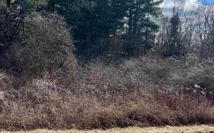 Pictures of Land property located at 6288 County Road 25, Cardington, OH 43315 for sales - image #1
