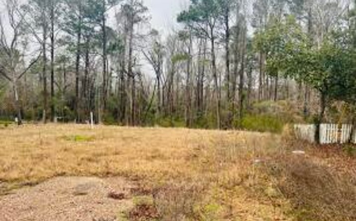 Pictures of Land property located at 00 Augusta Road, Warrenville, SC 29851 for sales - image #1