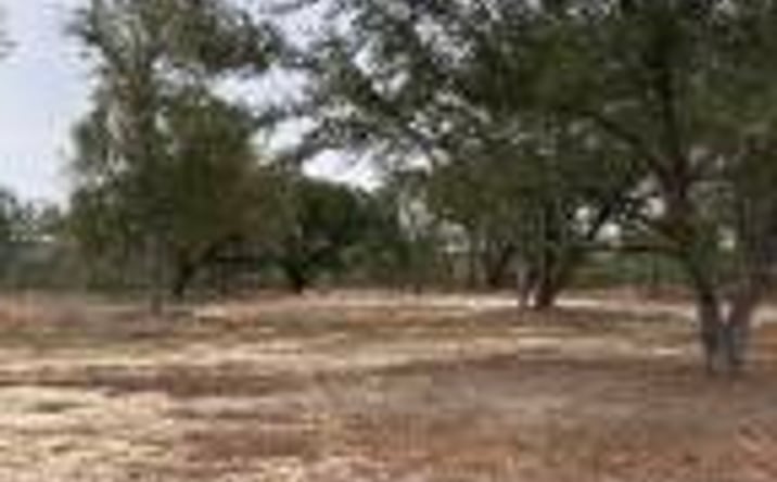 Pictures of Land property located at 00/Lot 69 Laughlin Loop, Aiken, SC 29805 for sales - image #1