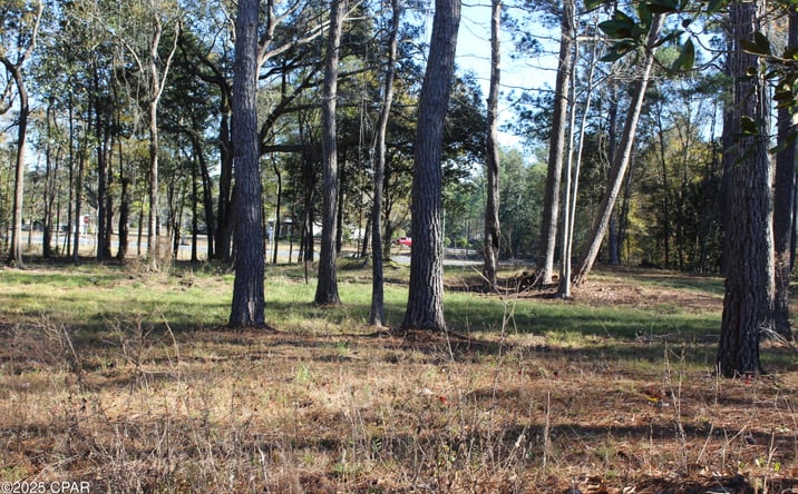 Pictures of Land property located at 000 Sr-79, Vernon, FL 32462 for sales - image #1