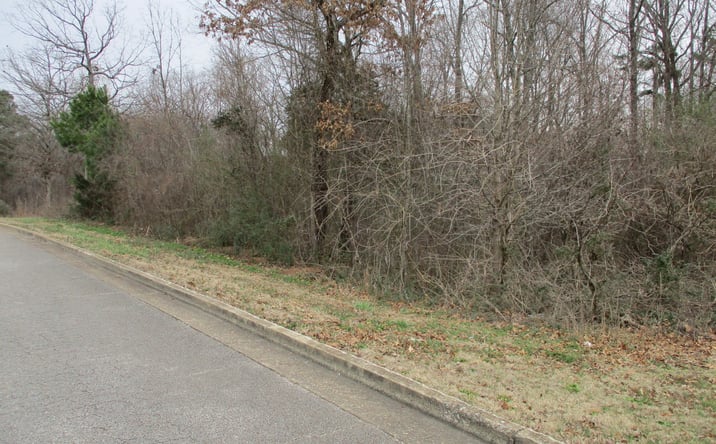 Pictures of Land property located at 24 Stonehedge Drive, Lexington, TN 38351 for sales - image #1