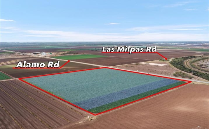 Pictures of Land property located at Fm 907, Alamo, TX 78516 for sales - image #1