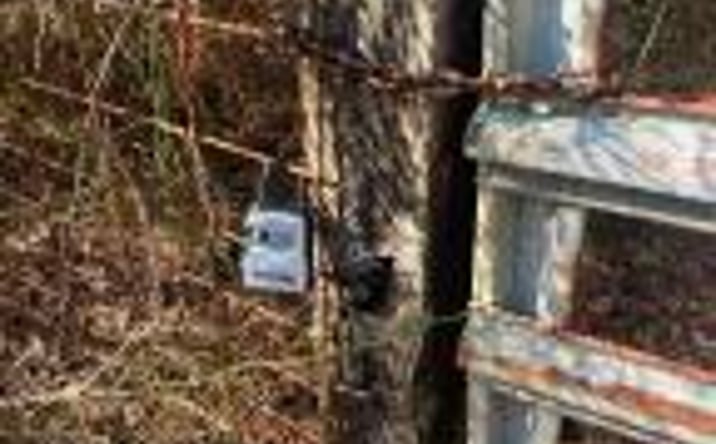 Pictures of Land property located at 2 Poplar Springs Road, Wagener, SC 29164 for sales - image #1