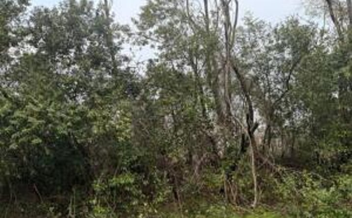 Pictures of Land property located at 0 Philpot Lane, North Augusta, SC 29841 for sales - image #1