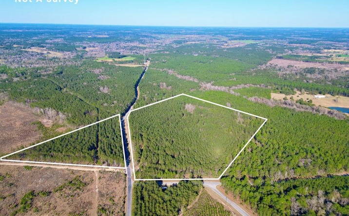 Pictures of Land, Multifamily property located at NHN Hwy 43, Poplarville, MS 39470 for sales - image #1