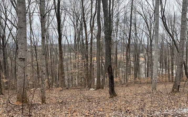 Pictures of Land property located at 147 Chestnut Hill Rd, Livingston, TN 38570 for sales - image #1