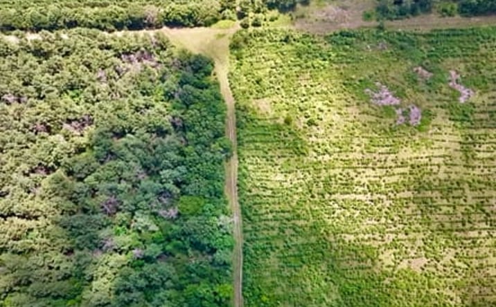 Pictures of Land property located at Hempstead 16 Rd, Hope, AR 71801 for sales - image #1