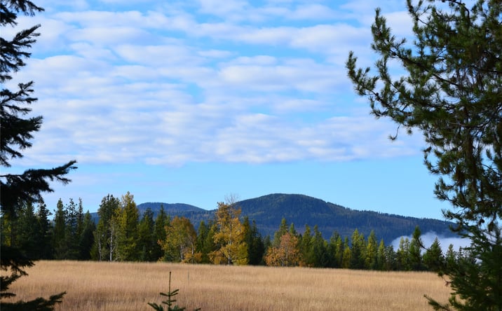 Pictures of Land property located at Nhn Timber Meadows Lane, Trout Creek, MT 59874 for sales - image #1