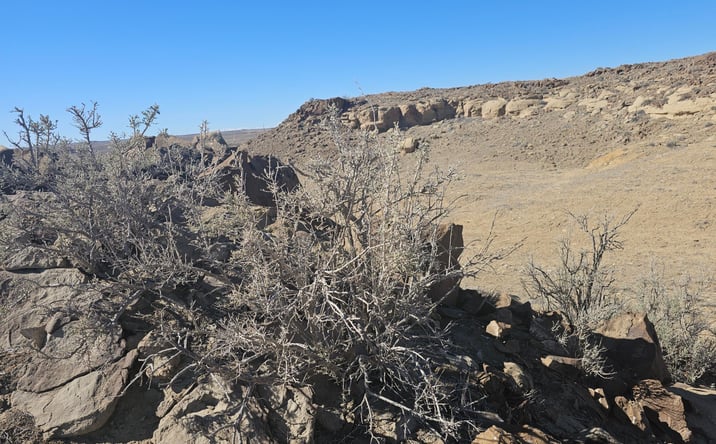 Pictures of Land property located at NYA Road 6500, Kirtland, NM 87417 for sales - image #1