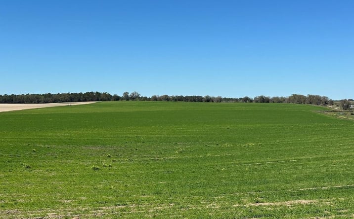 Pictures of Land property located at NW 225th Avenue, Dunnellon, FL 34431 for sales - image #1