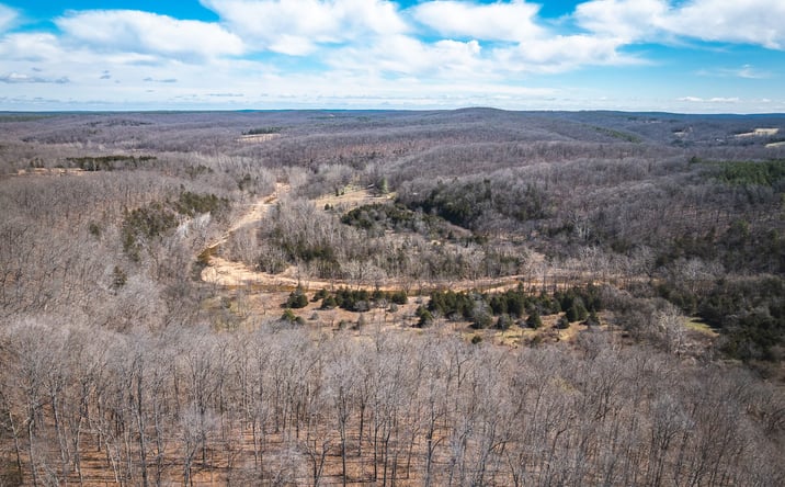 Pictures of Land property located at 98 acres off Highway Y, Courtois, MO 65565 for sales - image #1