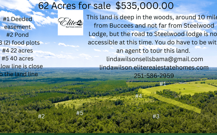 Pictures of Land property located at 31512 N River Rd, Loxley, AL 36551 for sales - image #1