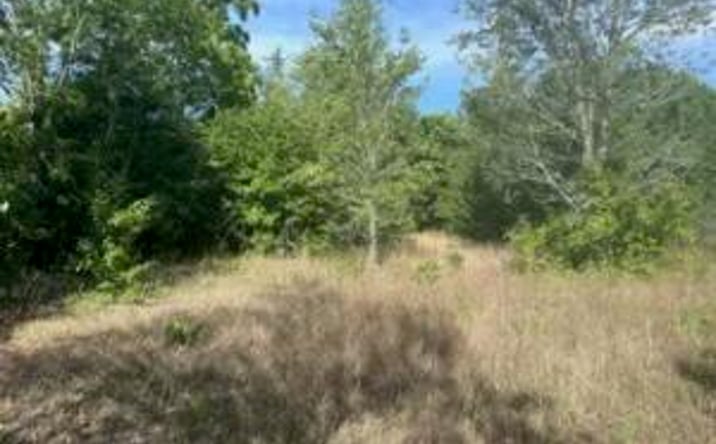 Pictures of Land property located at 00 Edgefield Highway, Trenton, SC 29847 for sales - image #1