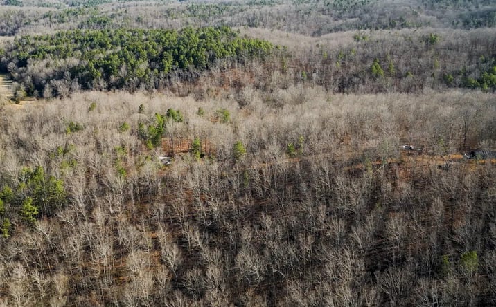 Pictures of Land property located at TBD County Road 513, Winona, MO 65588 for sales - image #1