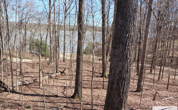 Pictures of Land property located at 440 Stirling Road, Camden, TN 38320 for sales - image #1