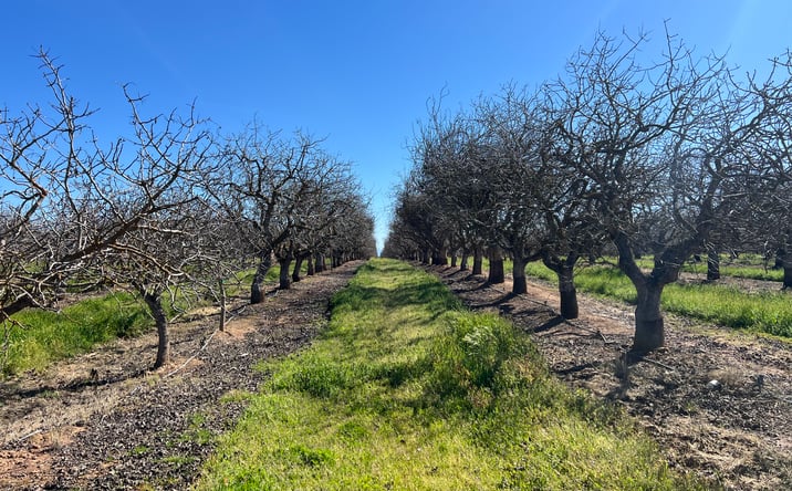 Pictures of Land property located at Ave 20 1/2, Madera, CA 93610 for sales - image #1