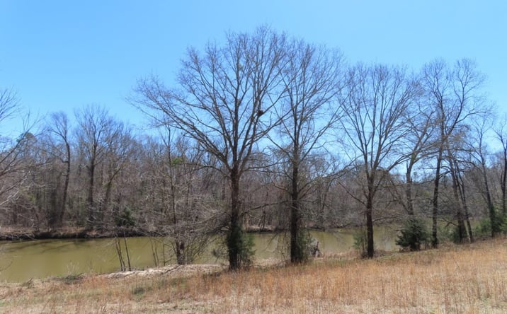 Pictures of Land property located at Mellrich Road, Iva, SC 29655 for sales - image #1