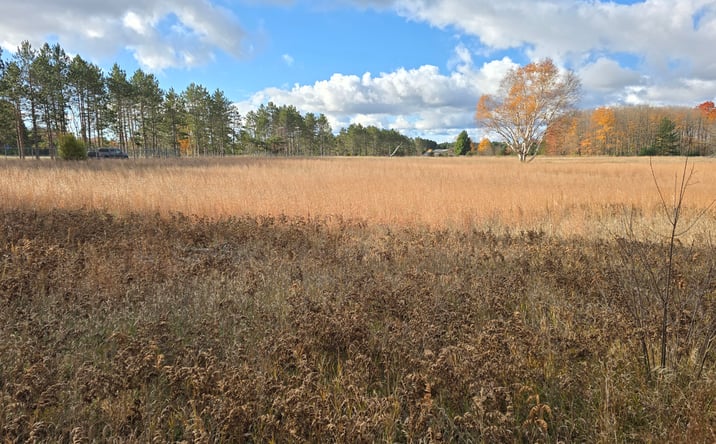 Pictures of Land property located at 2022 US-131, South Boardman, MI 49680 for sales - image #1