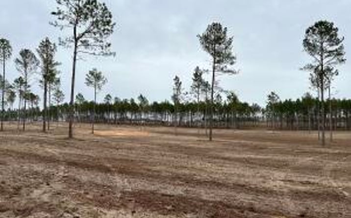 Pictures of Land property located at 00/Lot 4 Cooks Bridge Rd, Aiken, SC 29805 for sales - image #1