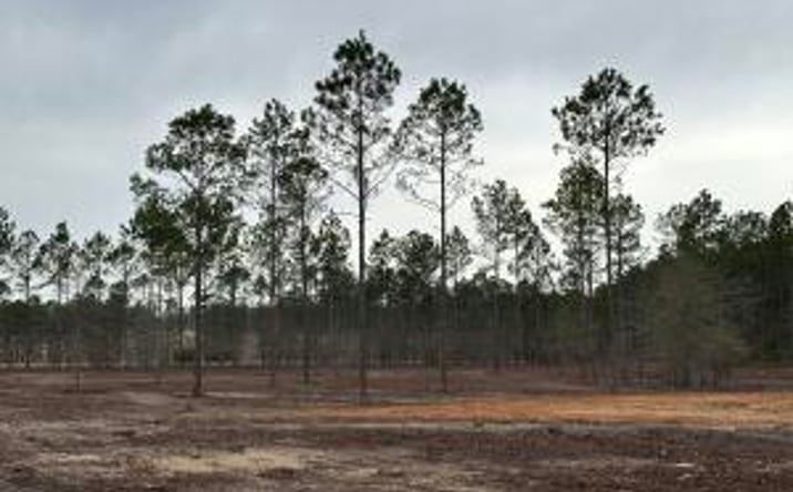 Pictures of Land property located at 00/Lot5 Cooks Bridge Rd, Aiken, SC 29805 for sales - image #1