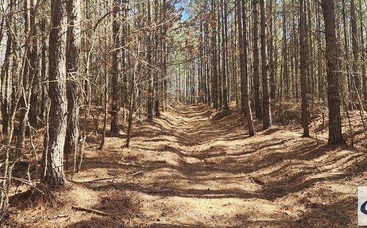 Pictures of Land property located at 000 Off Williams Grove Rd, Camden, TN 38320 for sales - image #1