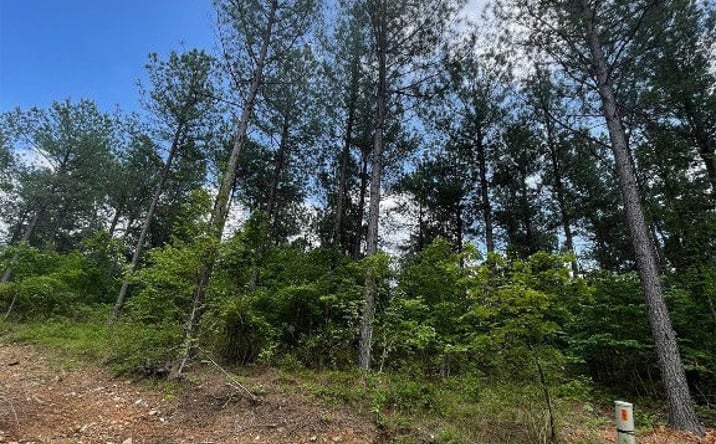 Pictures of Land property located at 688 Timber Creek Trails South Xl, Broken Bow, OK 74728 for sales - image #1