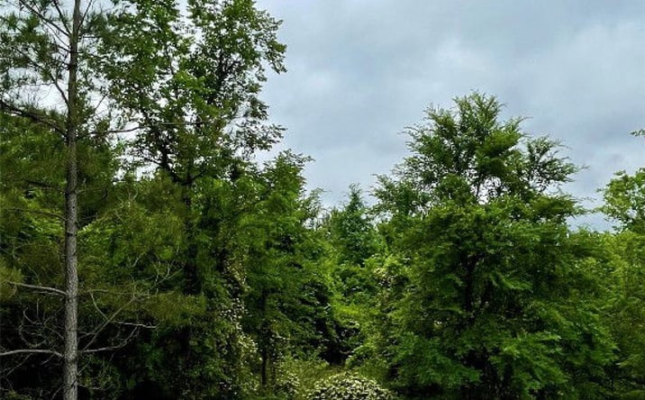 Pictures of Land property located at 667 Timber Creek Trails South Xl, Broken Bow, OK 74728 for sales - image #1
