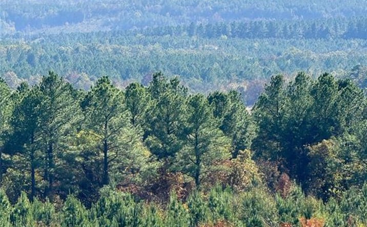 Pictures of Land property located at 187 Sliding Hill Trail, Broken Bow, OK 74728 for sales - image #1